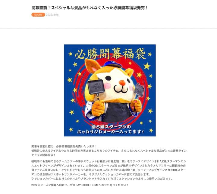 横浜DeNAベイスターズ 必勝開幕福袋 Mサイズ