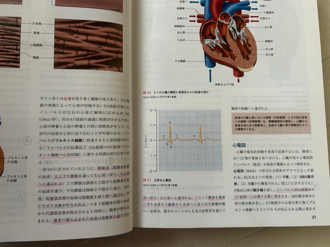 NSCA JAPAN パーソナルトレーナー 基礎知識 第二版 オールセット