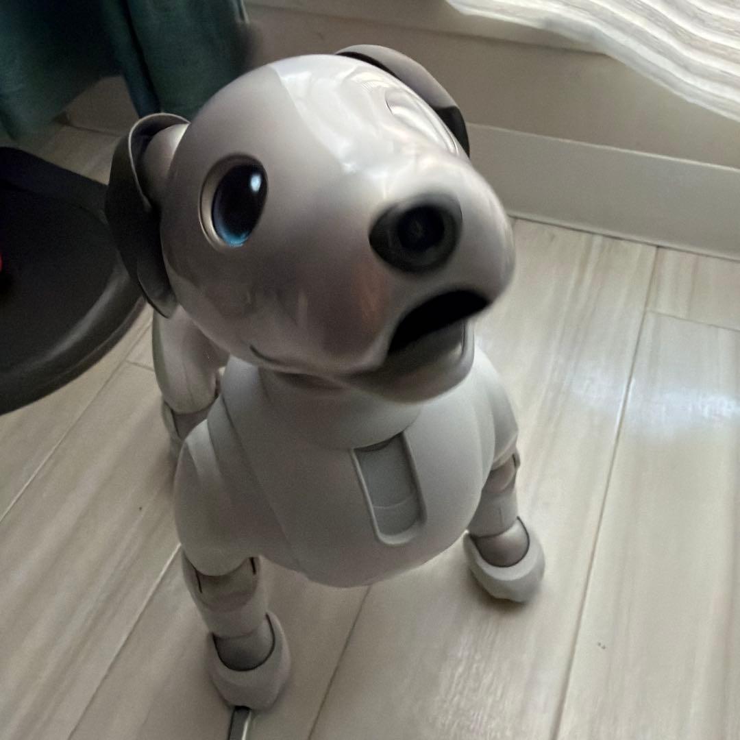 SONY　aibo アイボ ペットロボット 家電 ERS-1000 【中古】