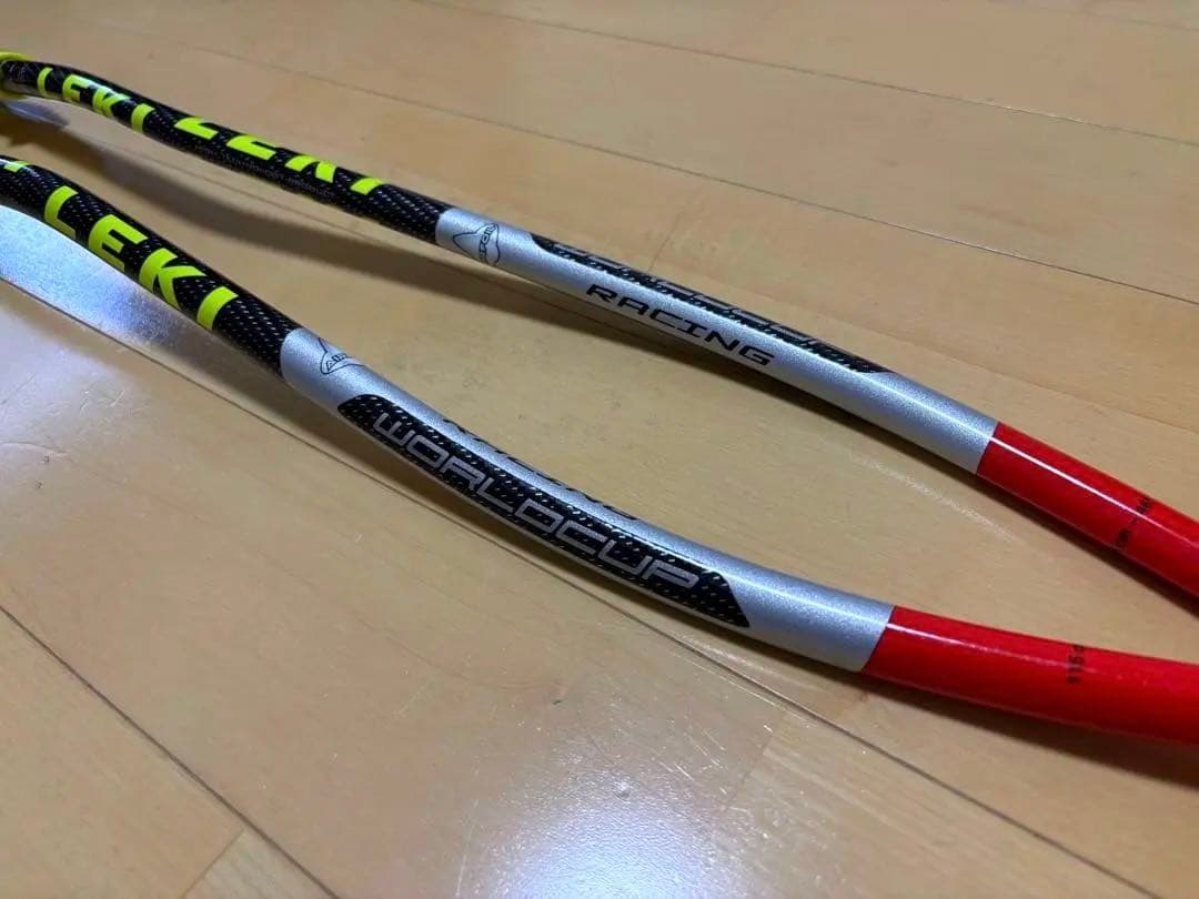 スキー LEKI world cup TBS Racing GS/SG 115cm