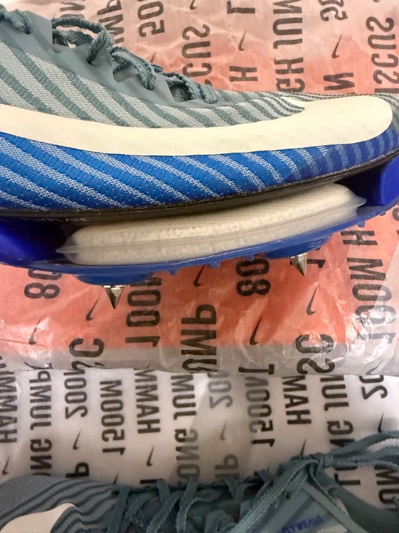 Nike Maxfly 2 海外限定カラー26cm