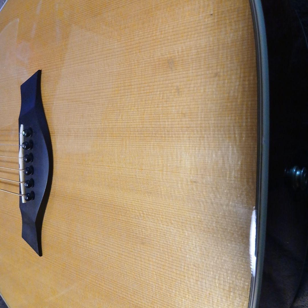 ⭐激レア⭐Taylor エレアコ Custom DNシリーズ アディロンダック