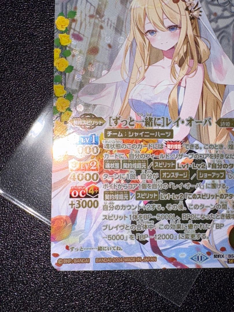 ずっと一緒に　レイ・オーバ