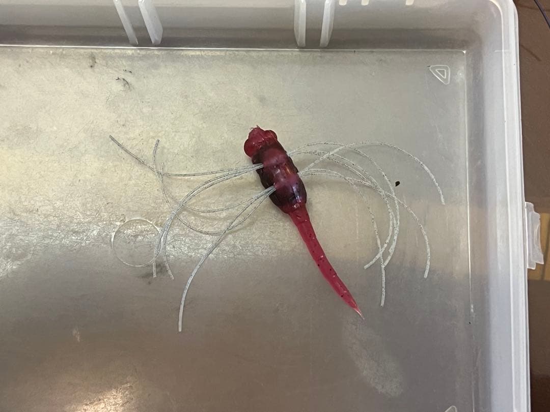 活虫シリーズ 活蝉 活カエル 活トンボ 直トンボセット