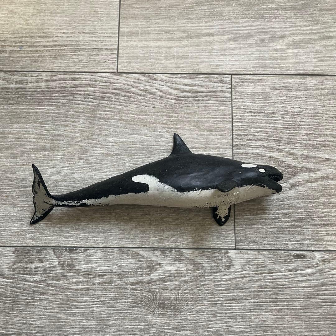 くじら＆Co. ビッグ　セット