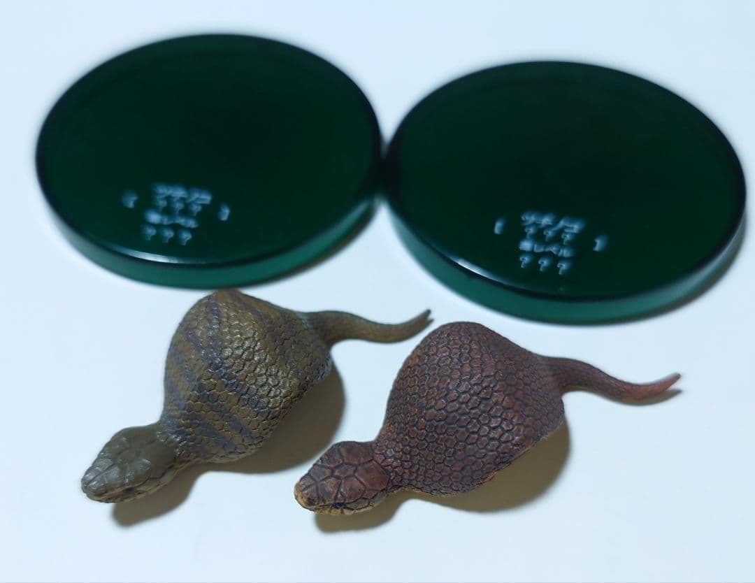 【希少】タカラトミーアーツ　不思議生物大百科　毒牙の暗殺者　7種　フルコンプ