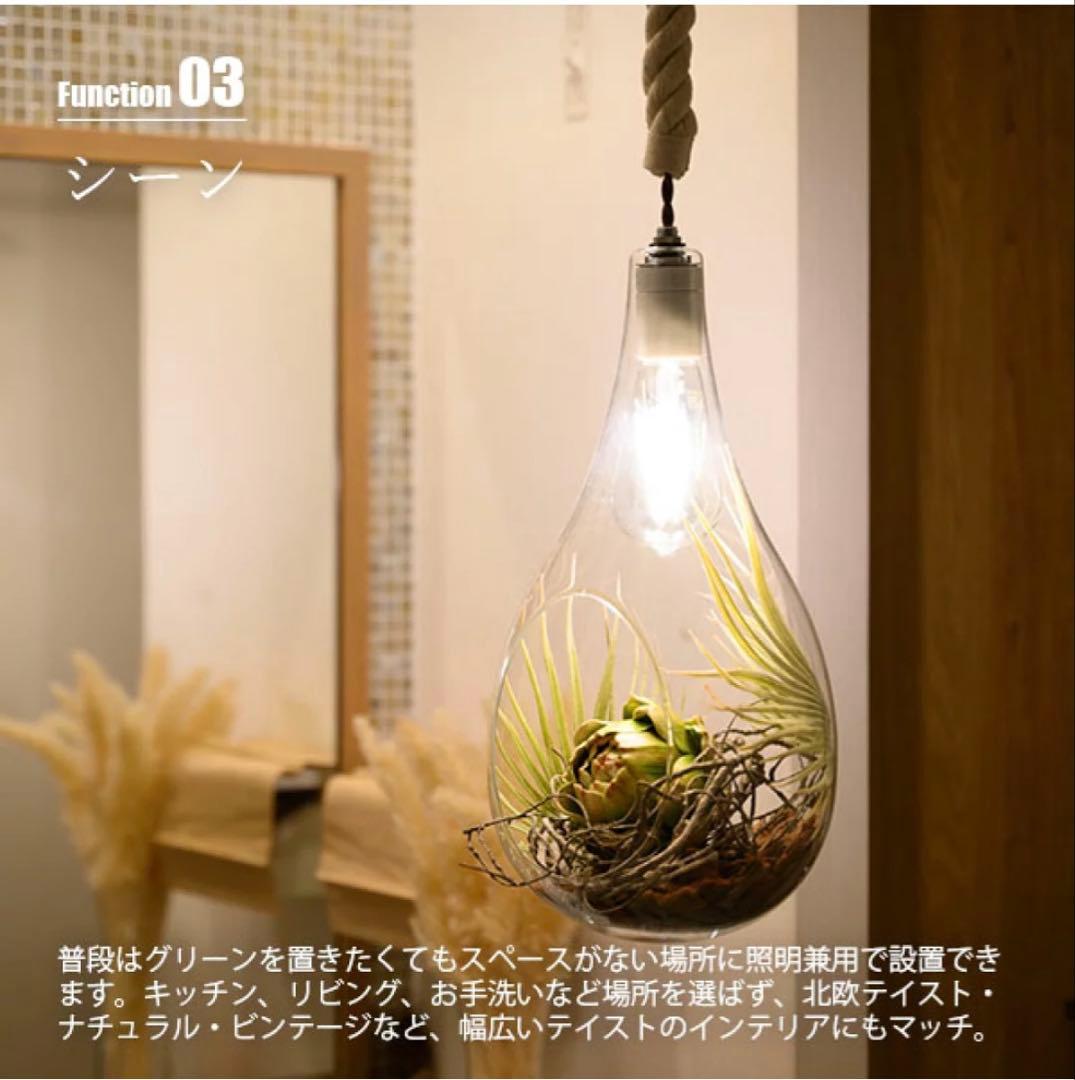 スワン電器　ボタニカル　ペンダントライト