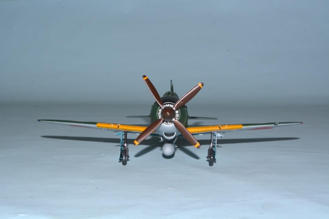 [完成品］1/48　日本海軍局地戦闘機『雷電』21型　第302海軍航空隊
