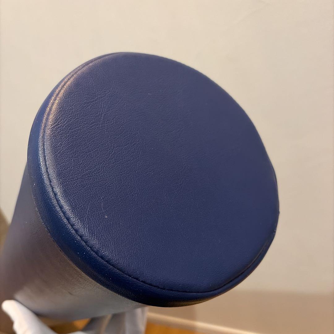 正規品 LPN ストレッチポールEX StretchPole ネイビー