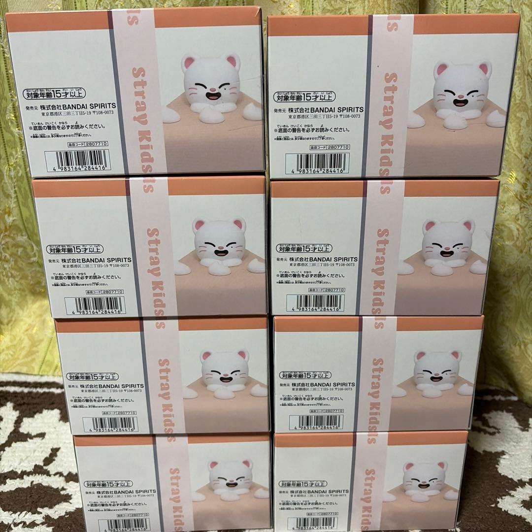 SKZOO BIRTHDAY CAKE コレクション ジニレットホールケーキ完成