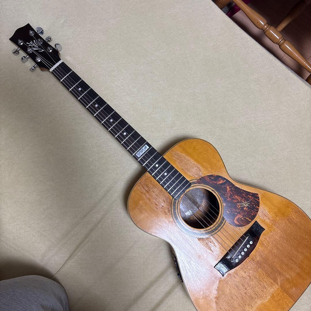 maton 808 TE ジャンク