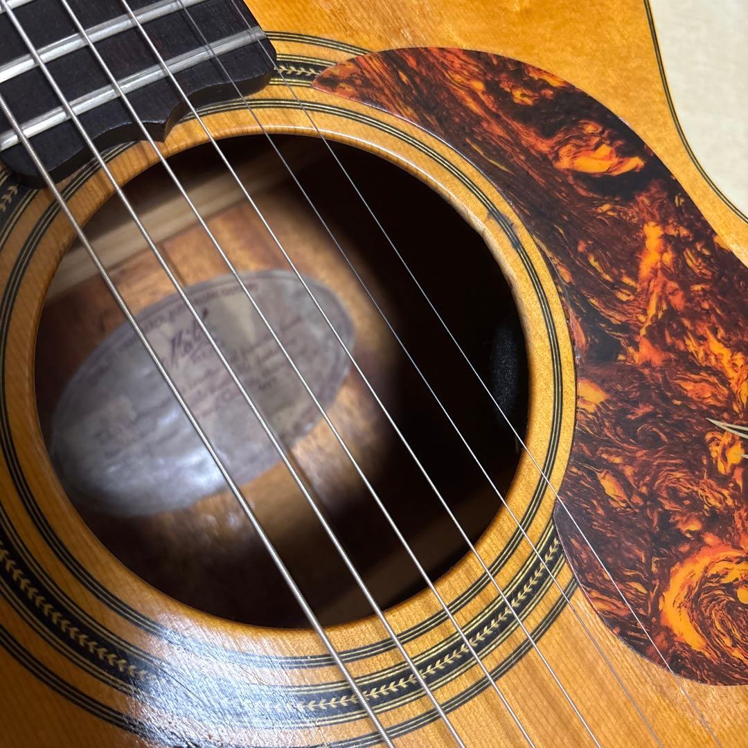 maton 808 TE ジャンク