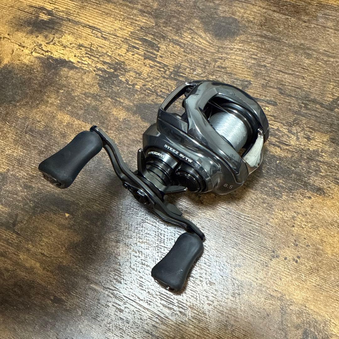 スティーズSV TW 100XHL