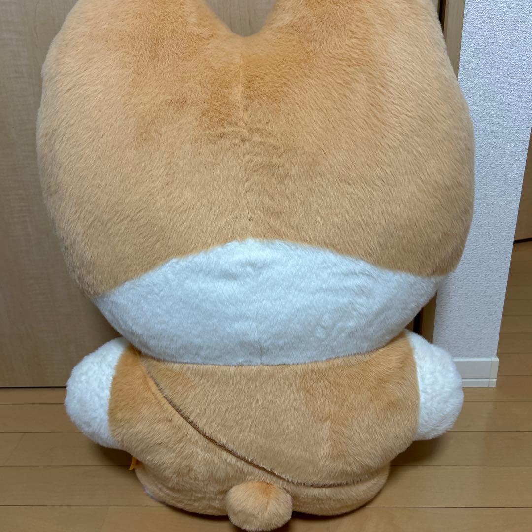 【期間限定値下げ】ベッキョン トレギ TEOLAEGI 80cm 大王トレギ