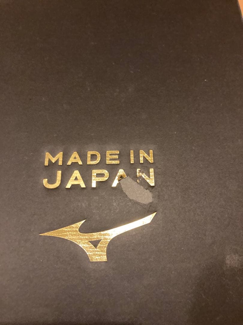 モレリアネオ3 Japan