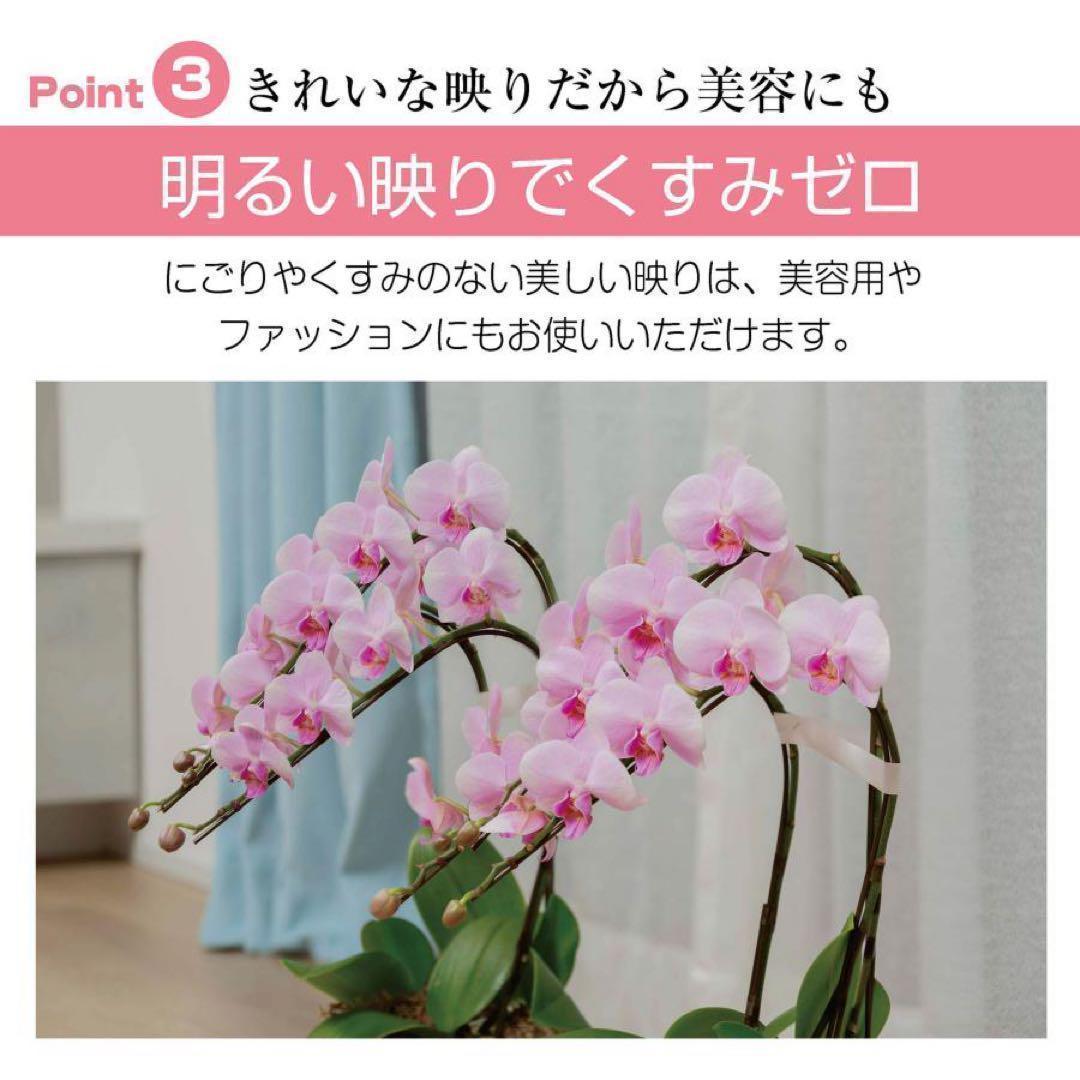 フィルムミラー 割れない 160cm 100cm キャスター 軽量 銀 2659
