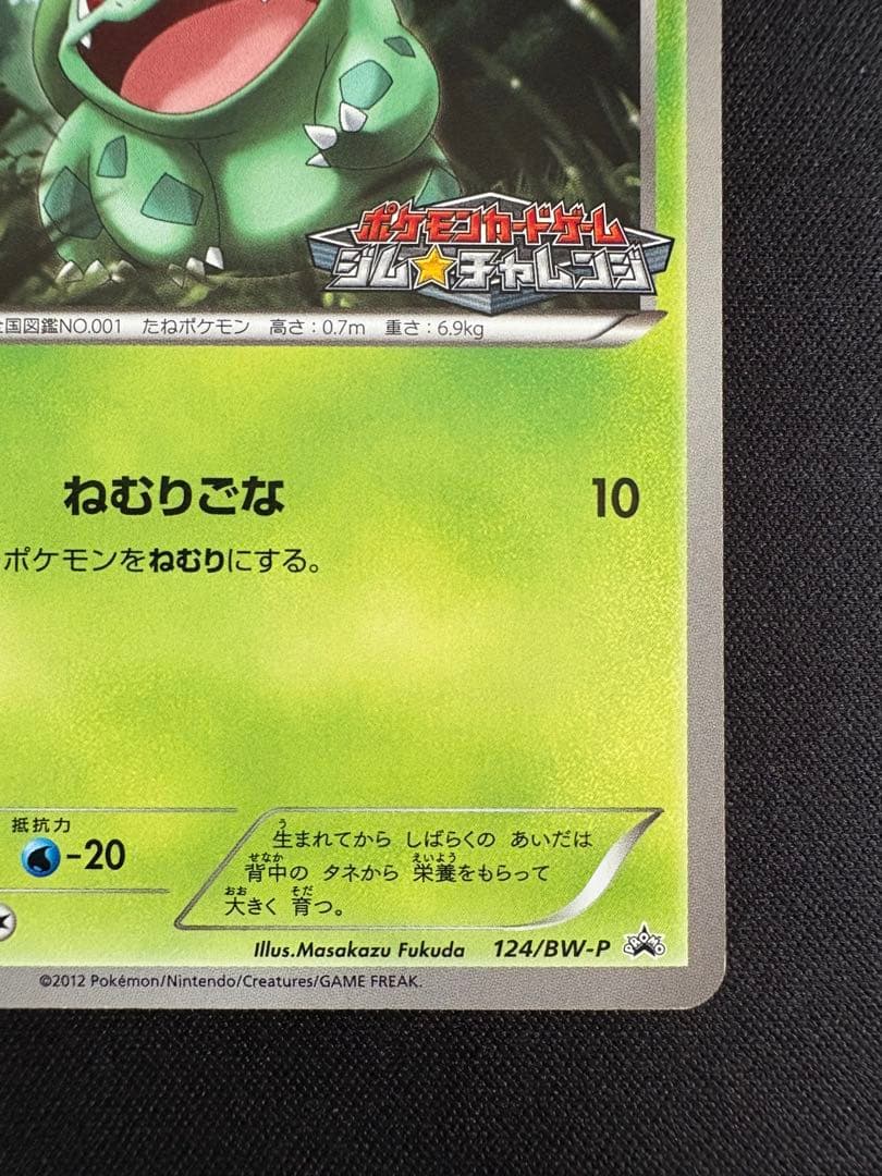 フシギダネ PROMO BW-Pプロモカード 124/BW-P