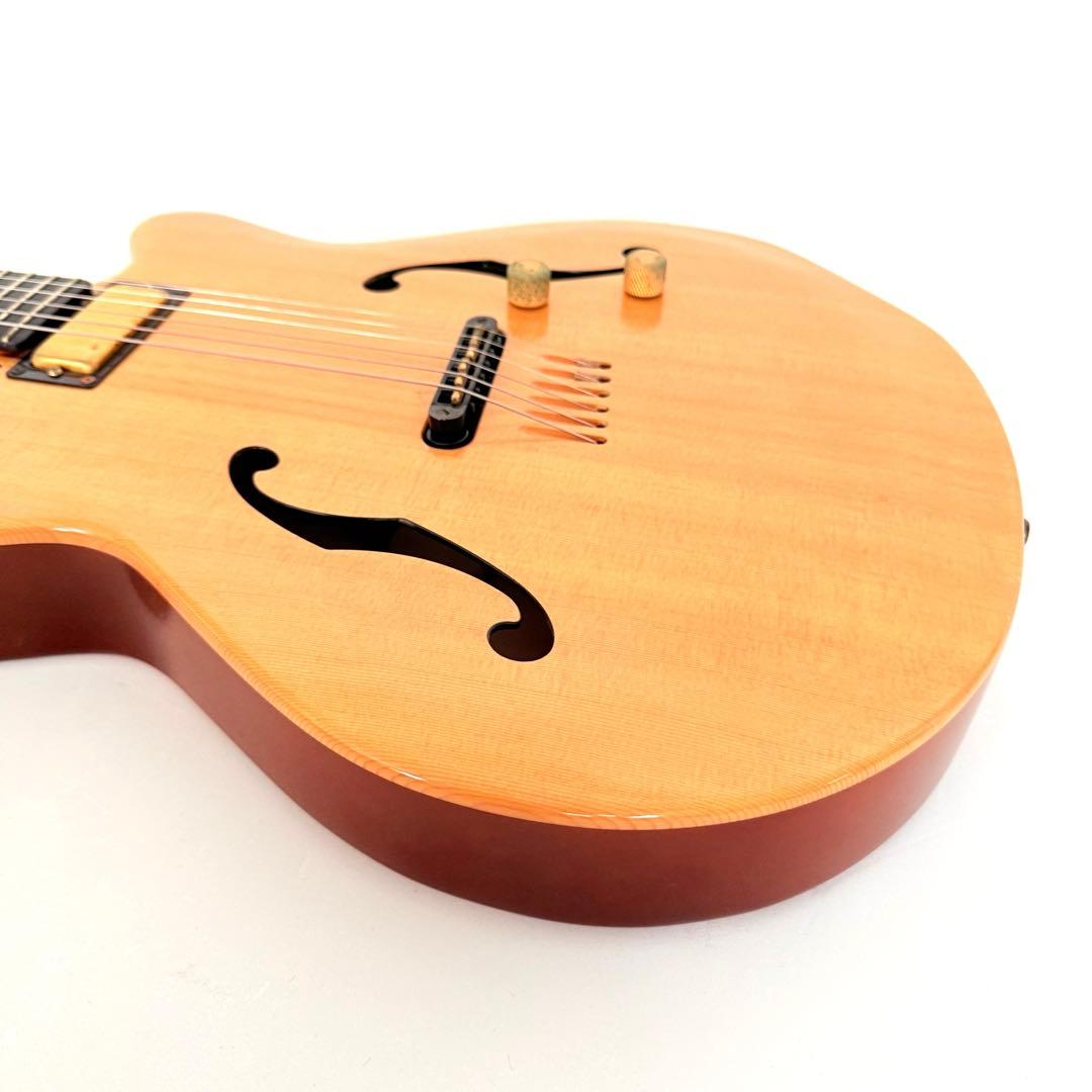 【希少】GODIN MULTIAC JAZZ SA セミアコースティックギター