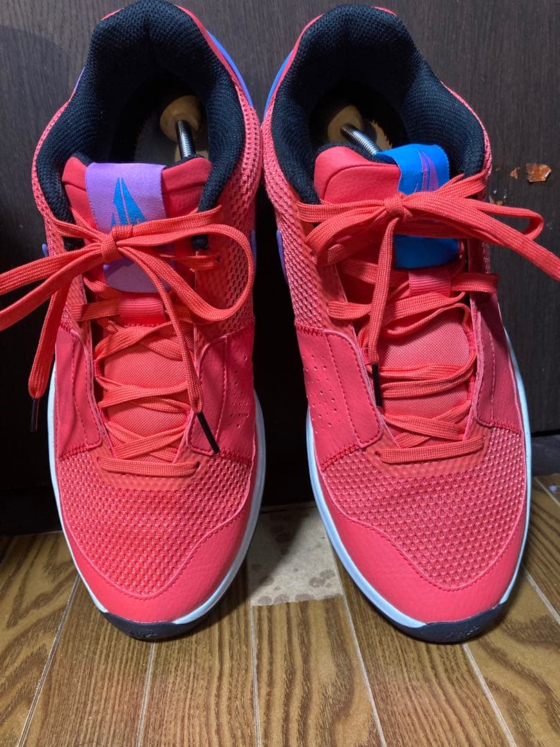 シューズ(男性用) Nike JA1 29cm