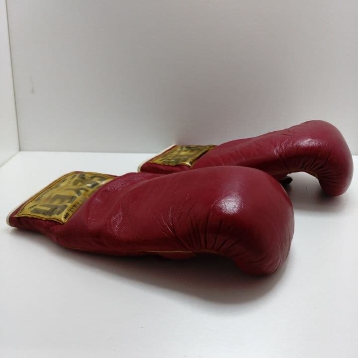 SEYER ボクシンググローブ レッド