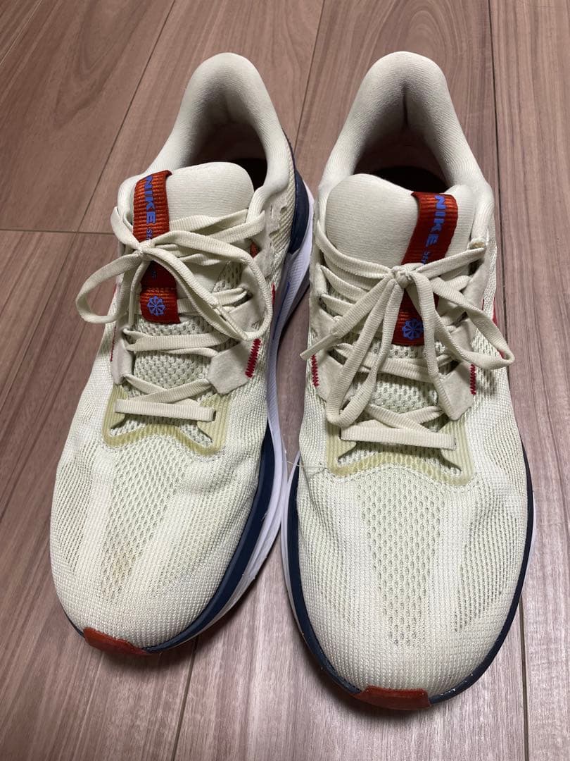 Nike ランニングシューズ 29cm