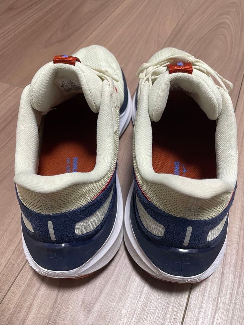 Nike ランニングシューズ 29cm