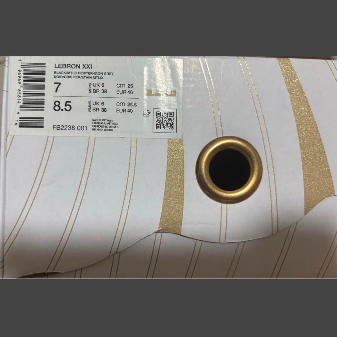 未使用 ナイキ 25 レブロン 21 NIKE LEBRON 21 FB7699