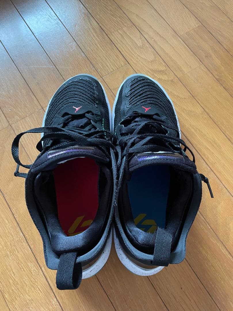 シューズ(男性用) JORDAN Luka1 PF