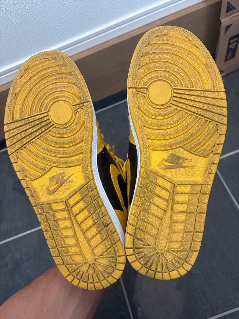 最終価格　NIKE Air Jordan 1 パラン　変え紐、箱あり