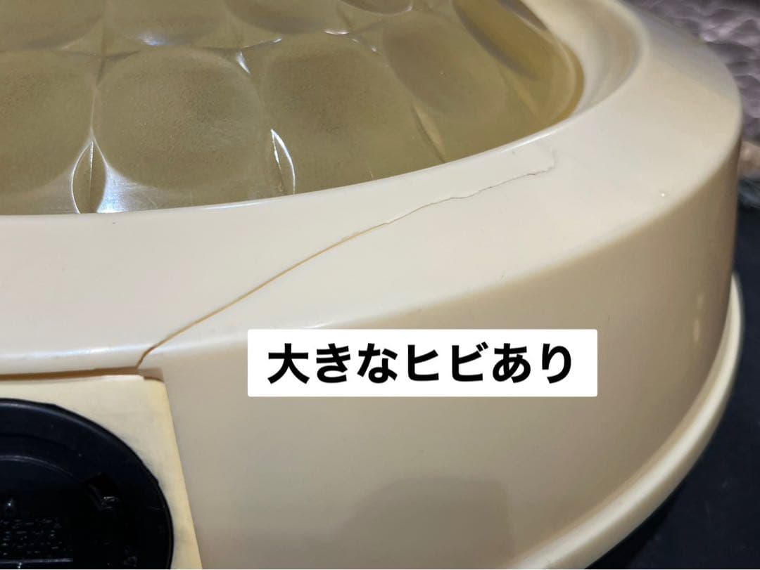 天井照明 インテリア 昭和レトロ 当時物 電気工事必須 アンティーク