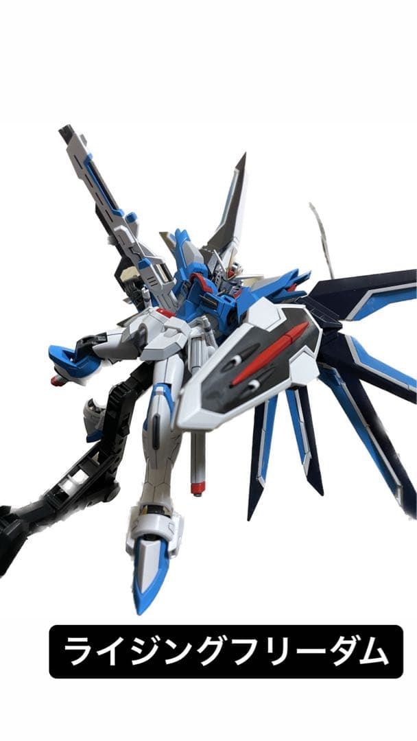 ガンプラSEED freedom 塗装済み完成品5機、未組み立てキット4つセット