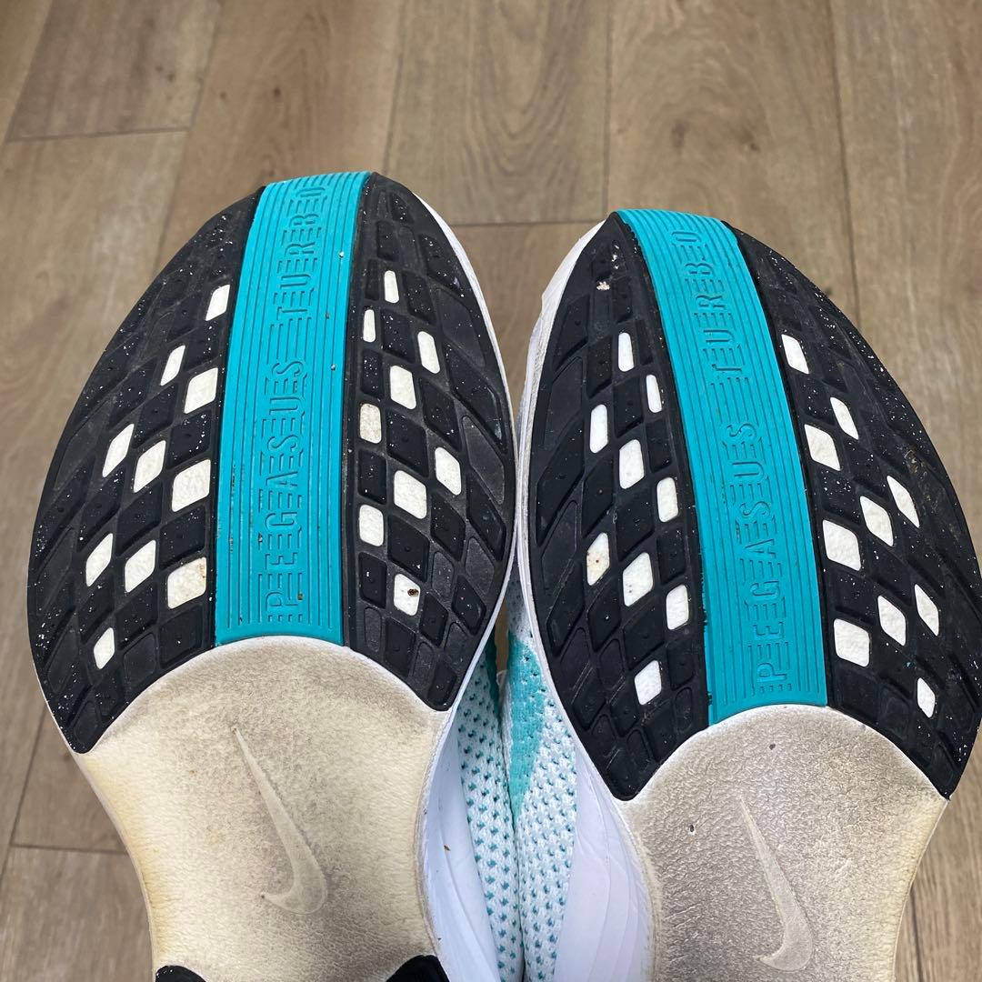 Nike ペガサスプラス 28.5㎝