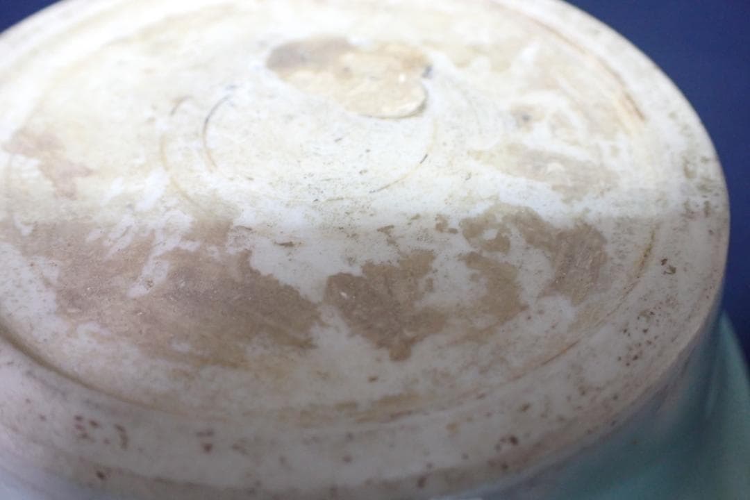 青磁　雙魚