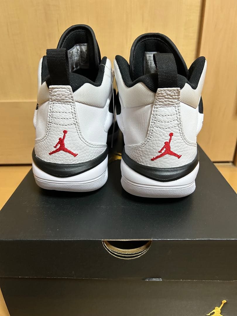 NIKE エアジョーダン ジョーダンステイロイヤル3