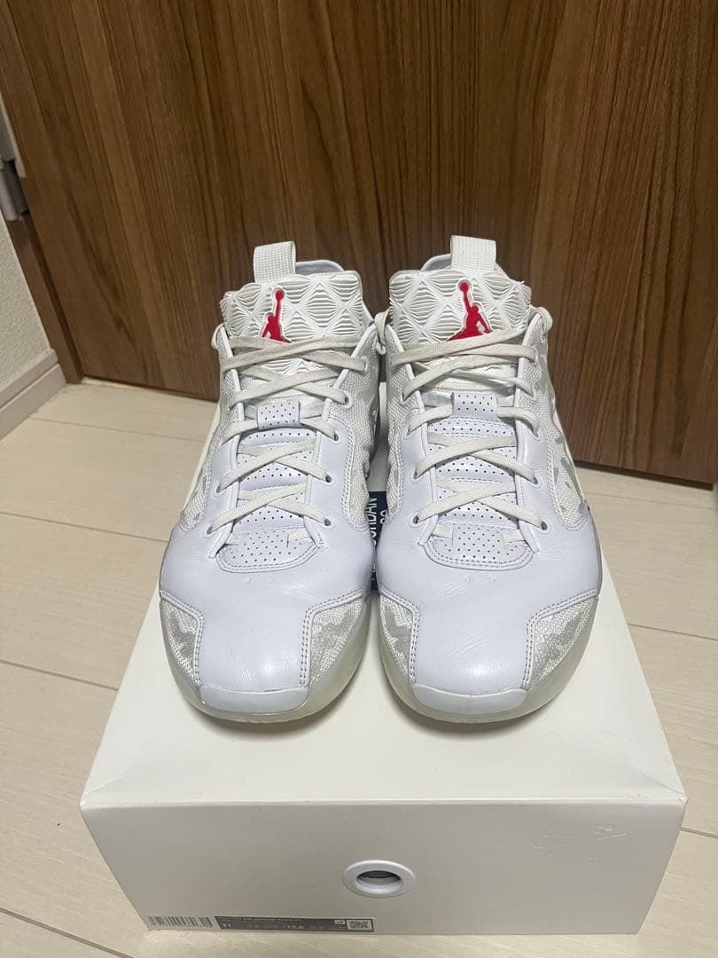 シューズ(男性用) AIR JORDAN 39 29cm US11