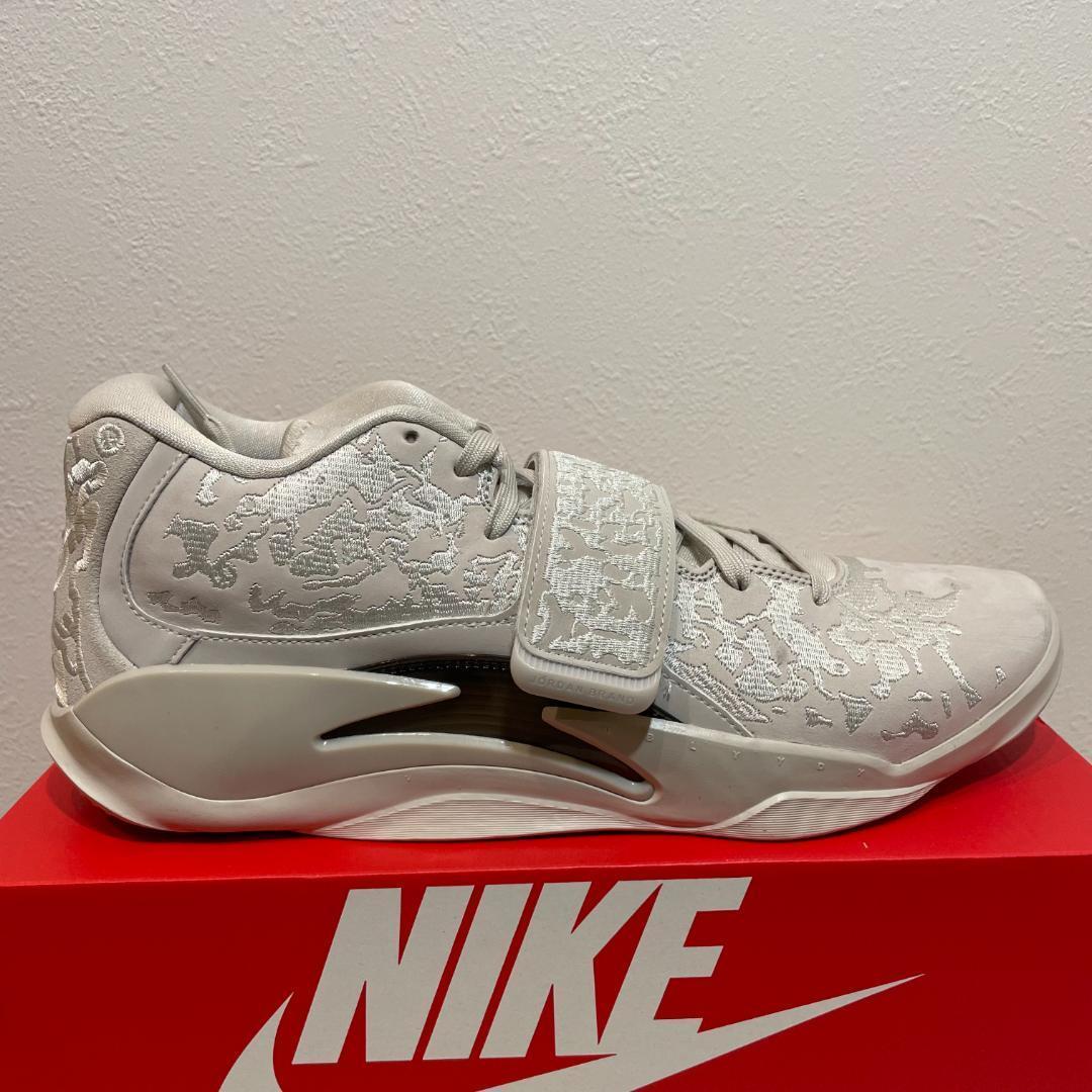 30cm NIKE ジョーダン ザイオン3 SE PF FN1778-040