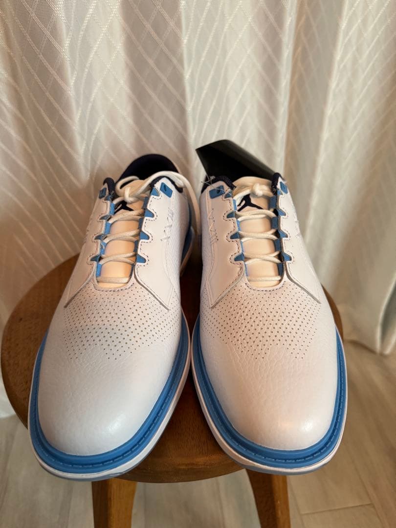 ☆新品・未使用NIKEナイキ Jordan ADG 5 G Golf Shoes