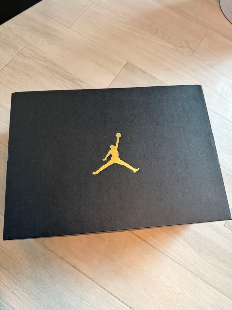 ☆新品・未使用NIKEナイキ Jordan ADG 5 G Golf Shoes
