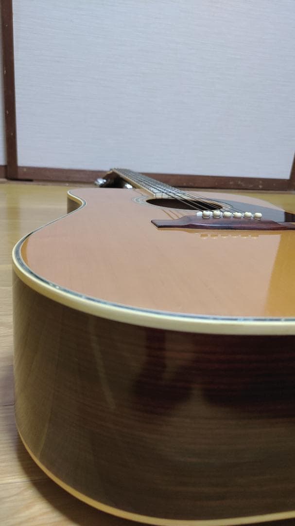 ギター Kiso Suzuki Violin W-250