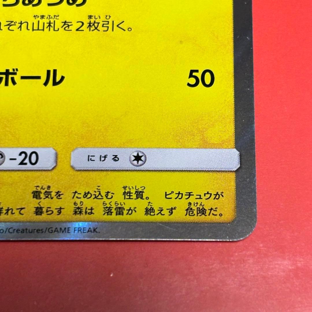 PROMO お茶会ごっこピカチュウ　はなびらのまいキャンペーン