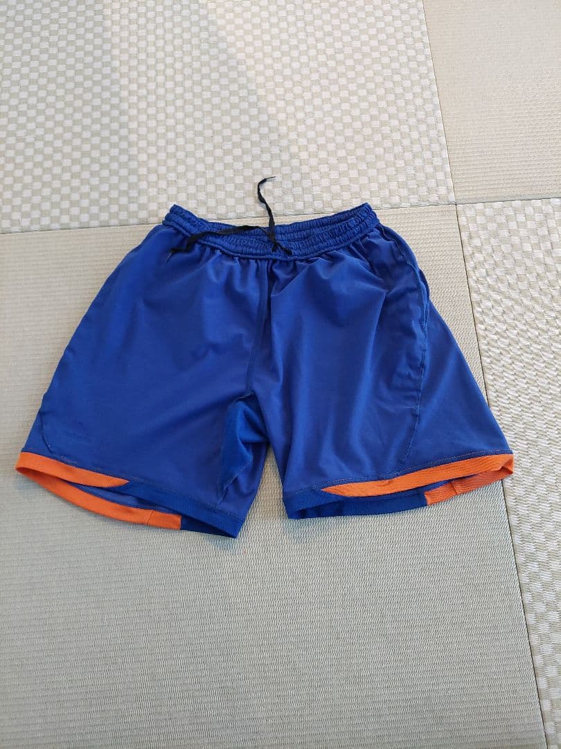 アルビレックス新潟上下