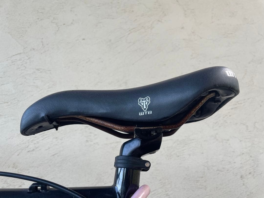 surly 1×1=11 anniversary Mサイズ　世界限定333台