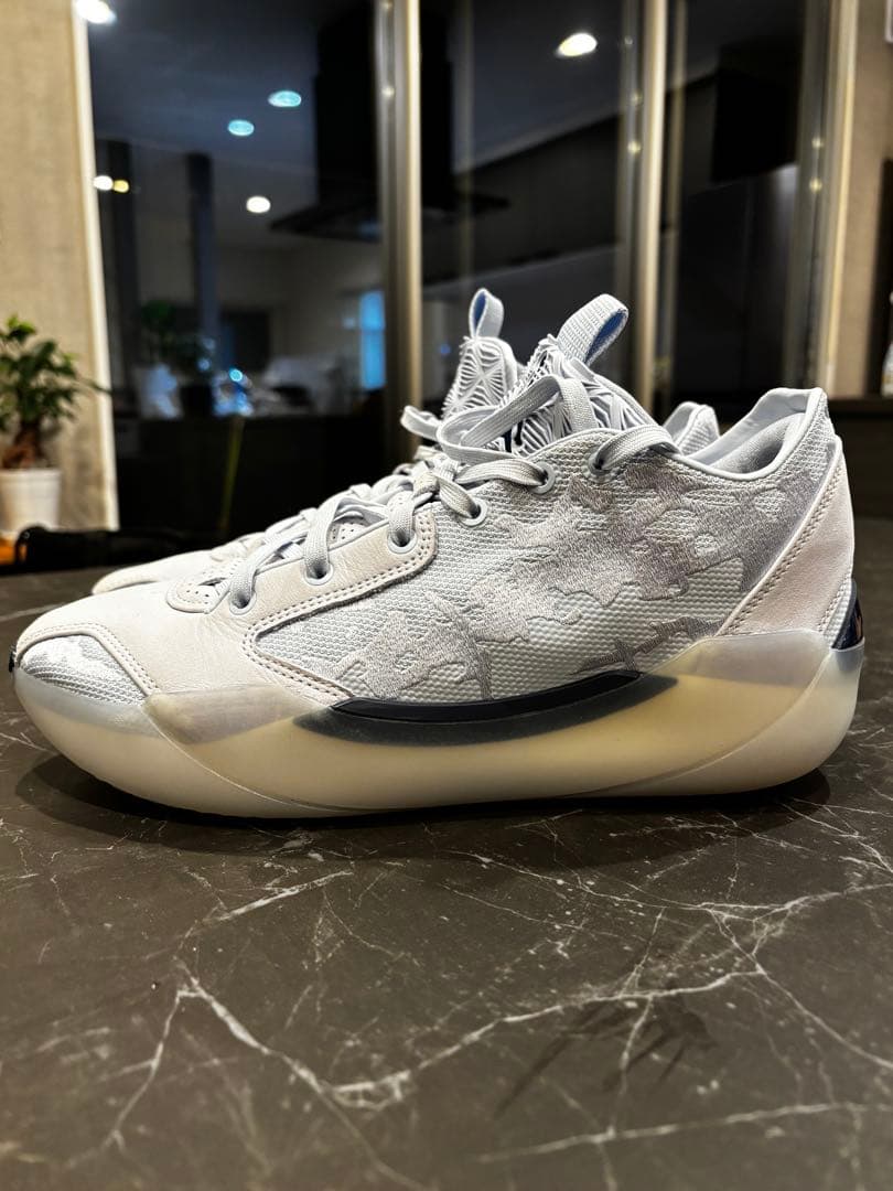 シューズ(男性用) Air jordan 39