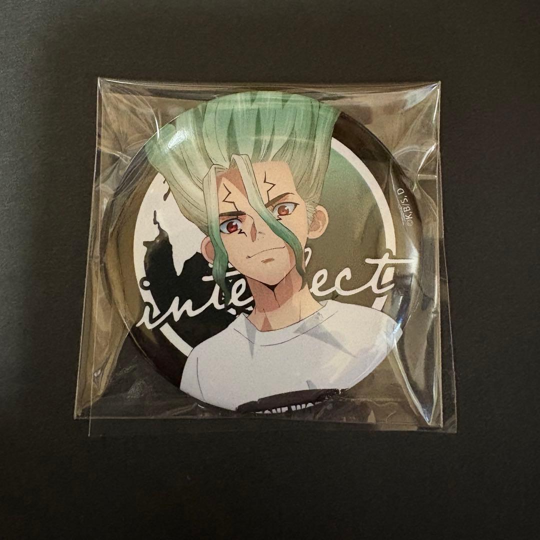 公*o様 【今月末で処分】Dr.STONE 石神千空 缶バッジ 30個 まとめ売