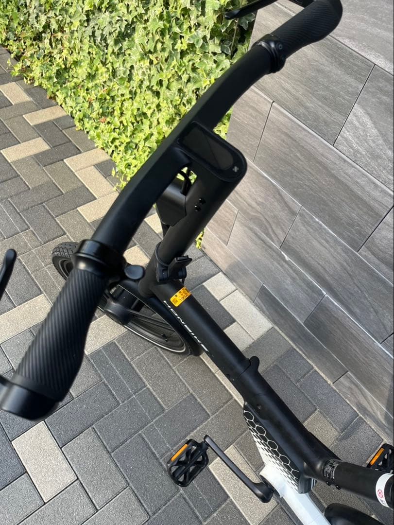 【直接引き取り】【専用】電動自転車　HONBIKE ホンバイクTOGO01