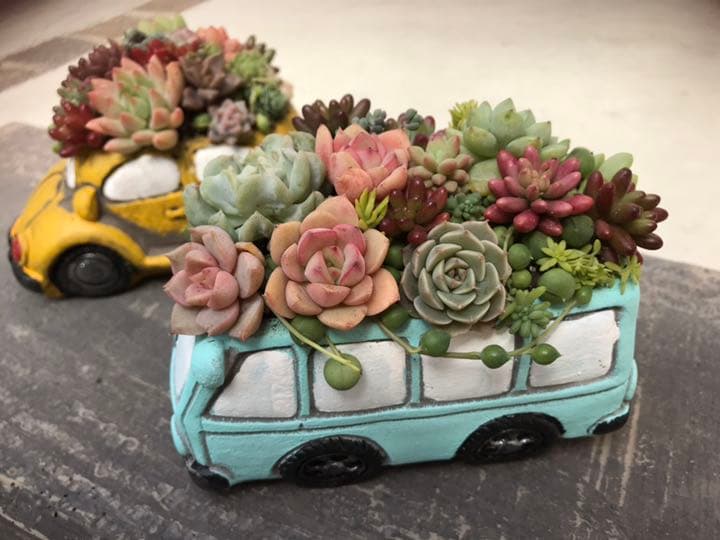 多肉 寄せ植え★flower bus-フラワーバス 水色★