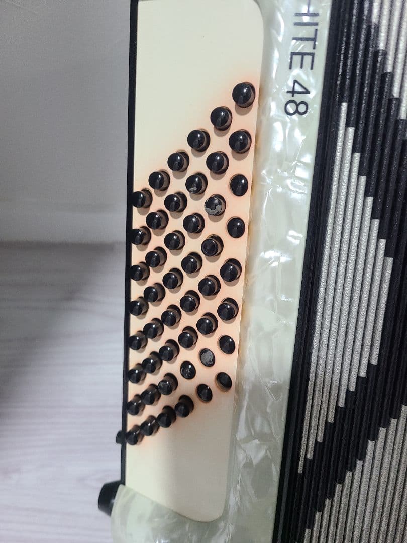 Hohner White 48 アコーディオン