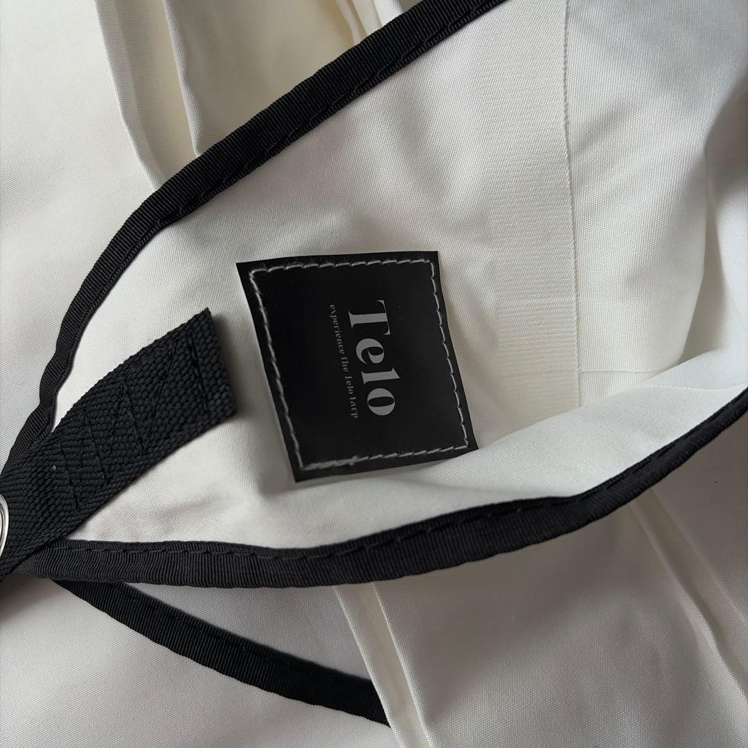 Telo looks ホワイト テーロ タープ
