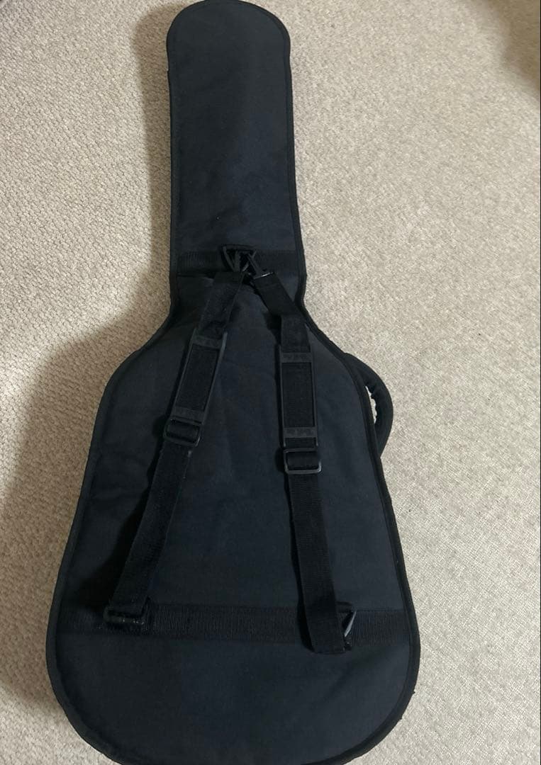 Takamine(タカミネ)アコースティックギター アコギ ソフトケース付き