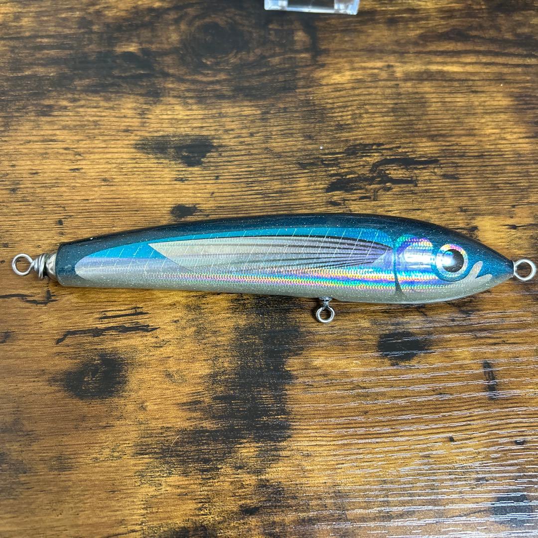 カーペンター　ブルーフィッシュ60-170